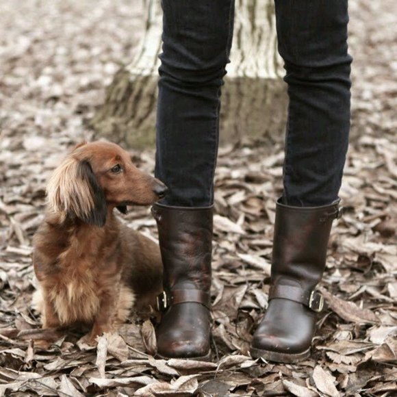 Frye Veronica Pull On Black Leather Short Booties - Picture 8 of 16